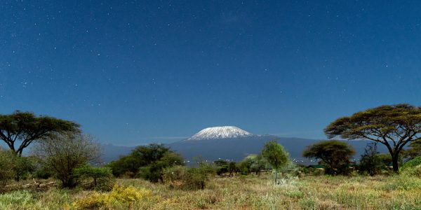 pexels-mwauraken-29093739