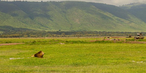 pexels-nadialovessingle-25950570