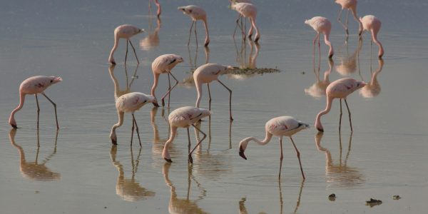 pexels-nirav-shah-6927042-30049607