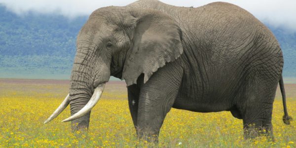 pexels-real-life-adventure-travel-162268153-10829143