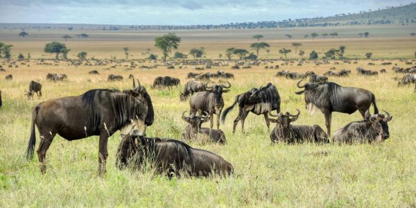 pexels-ross-green-2159326053-36048569 (1)