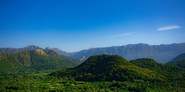 pexels-sebastian-wright-2148878306-30459696