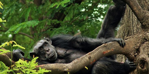 pexels-sudheerinfo99-8224934