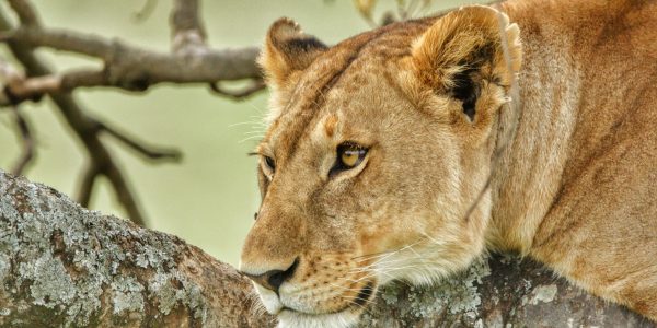 pexels-thefatmansvision-3857072