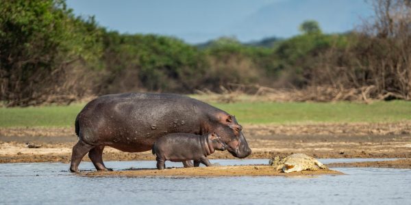 pexels-tomasz-dworczyk-podroz-za-milion-zdjec-2152356313-32331900