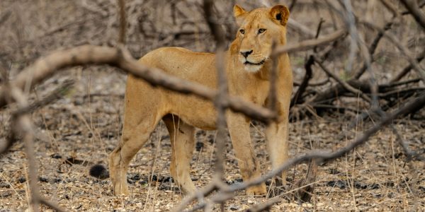 pexels-tomasz-dworczyk-podroz-za-milion-zdjec-2152356313-32332419