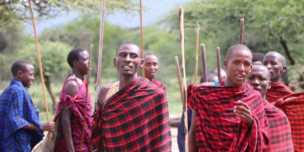 pexels-valerie-sutton-34163824-11156608