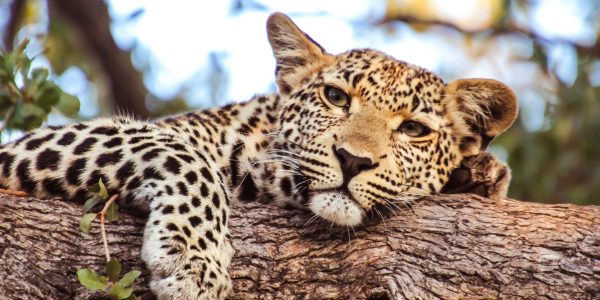 pexels-wayne-lubbe-3484498-5205057