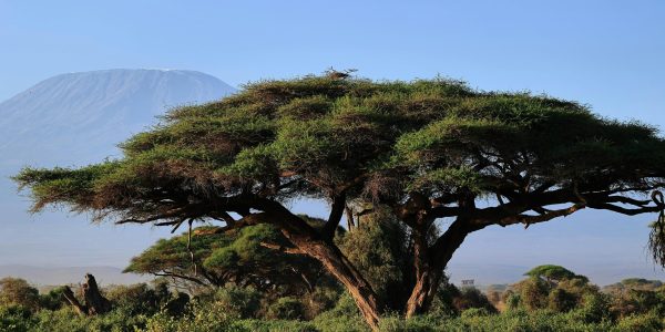 pexels-wladimir-kuhne-670646709-19168338