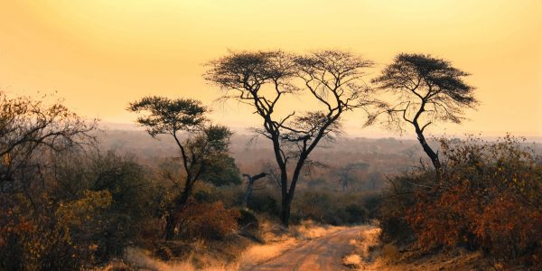 pexels-wussol-2147803031-30878973