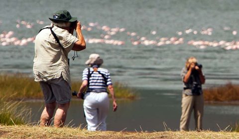 photo-safari-workshop