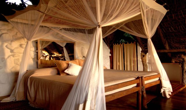 sand rivers selous 2