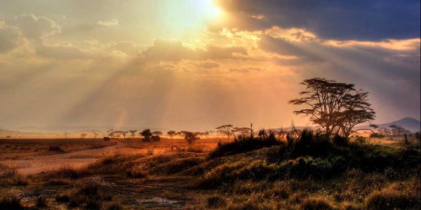 serengeti 2a serengeti 2a