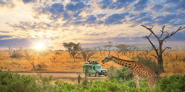 serengeti 3a