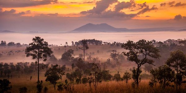 serengeti serengeti