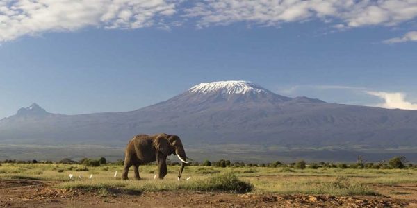 west kilimanjaro 3